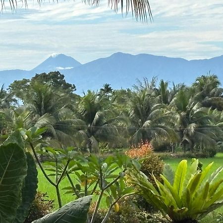 Sumatra Expedition Lodge Букіт-Лаванґ Екстер'єр фото