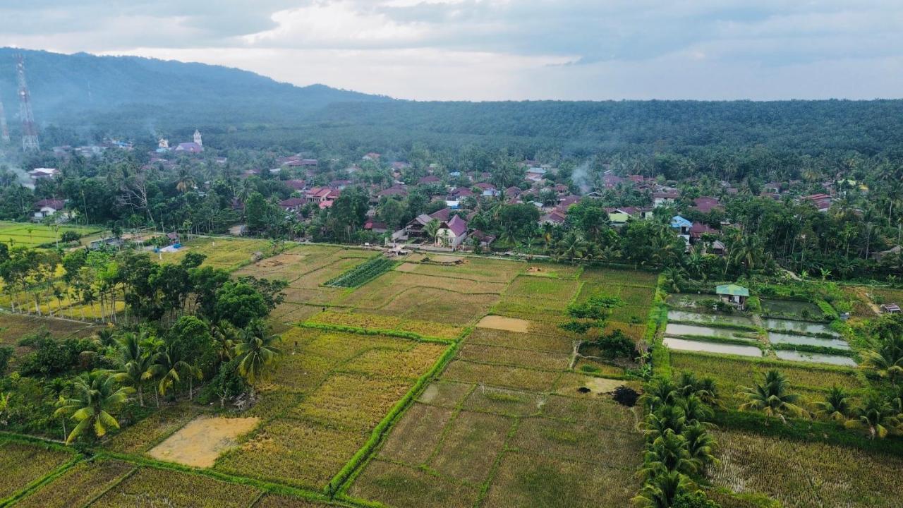Sumatra Expedition Lodge Букіт-Лаванґ Екстер'єр фото