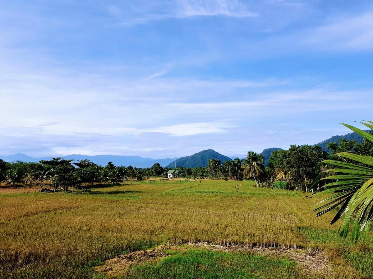 Sumatra Expedition Lodge Букіт-Лаванґ Екстер'єр фото