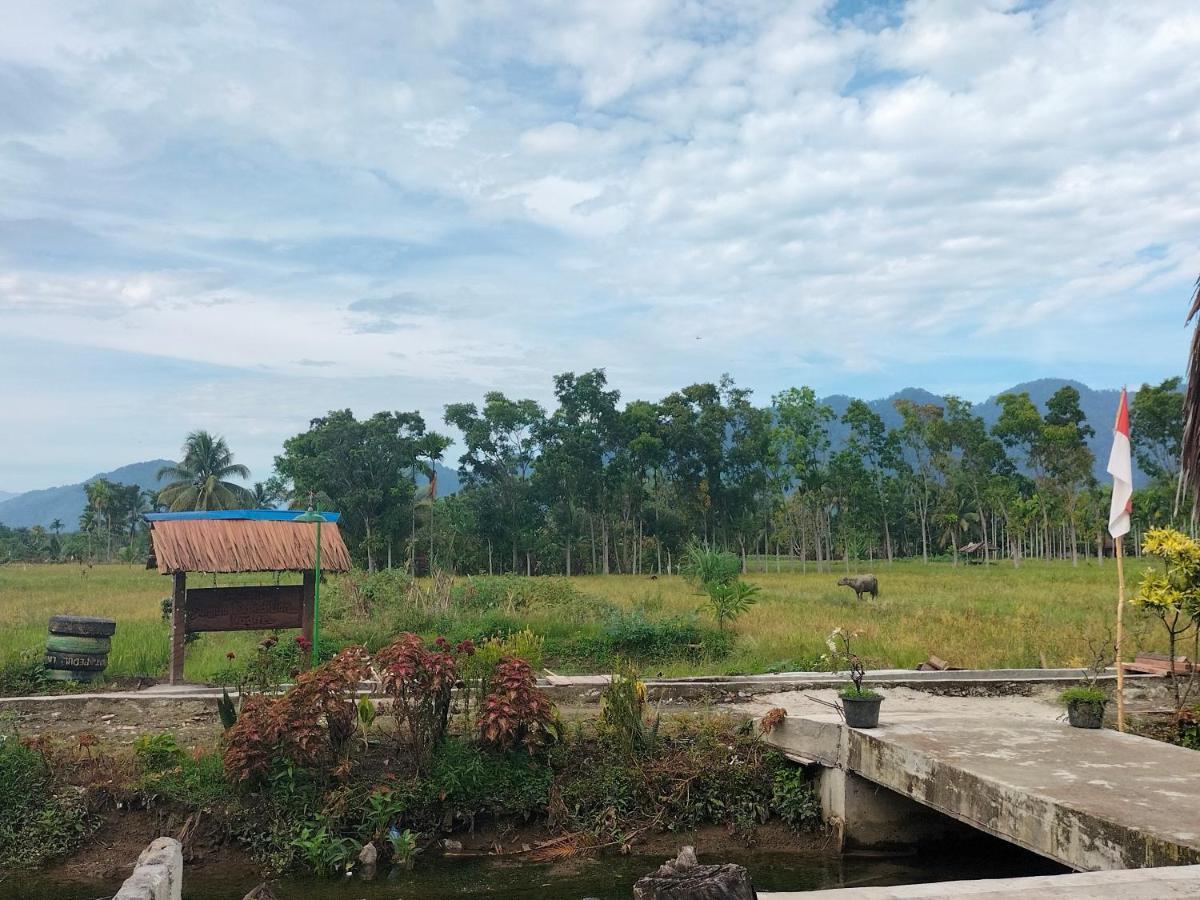 Sumatra Expedition Lodge Букіт-Лаванґ Екстер'єр фото