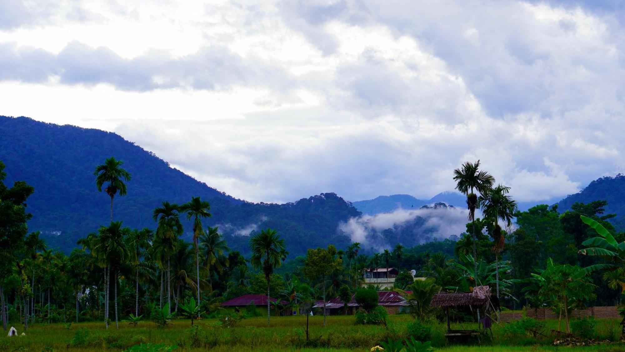 Sumatra Expedition Lodge Букіт-Лаванґ Екстер'єр фото