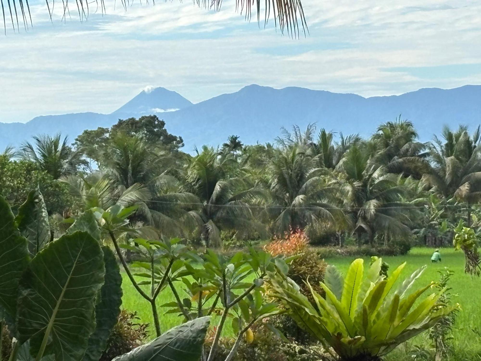 Sumatra Expedition Lodge Букіт-Лаванґ Екстер'єр фото