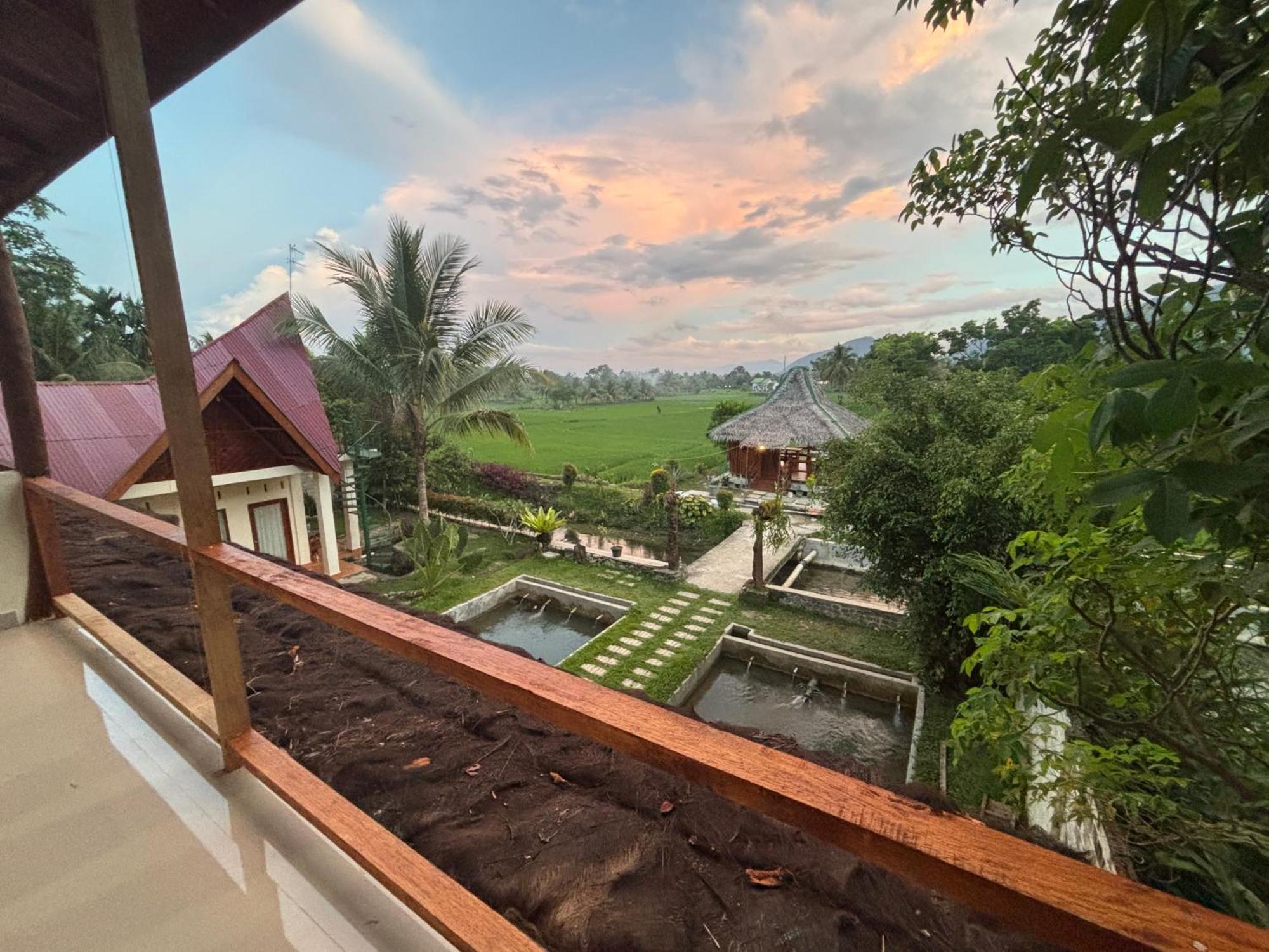 Sumatra Expedition Lodge Букіт-Лаванґ Екстер'єр фото