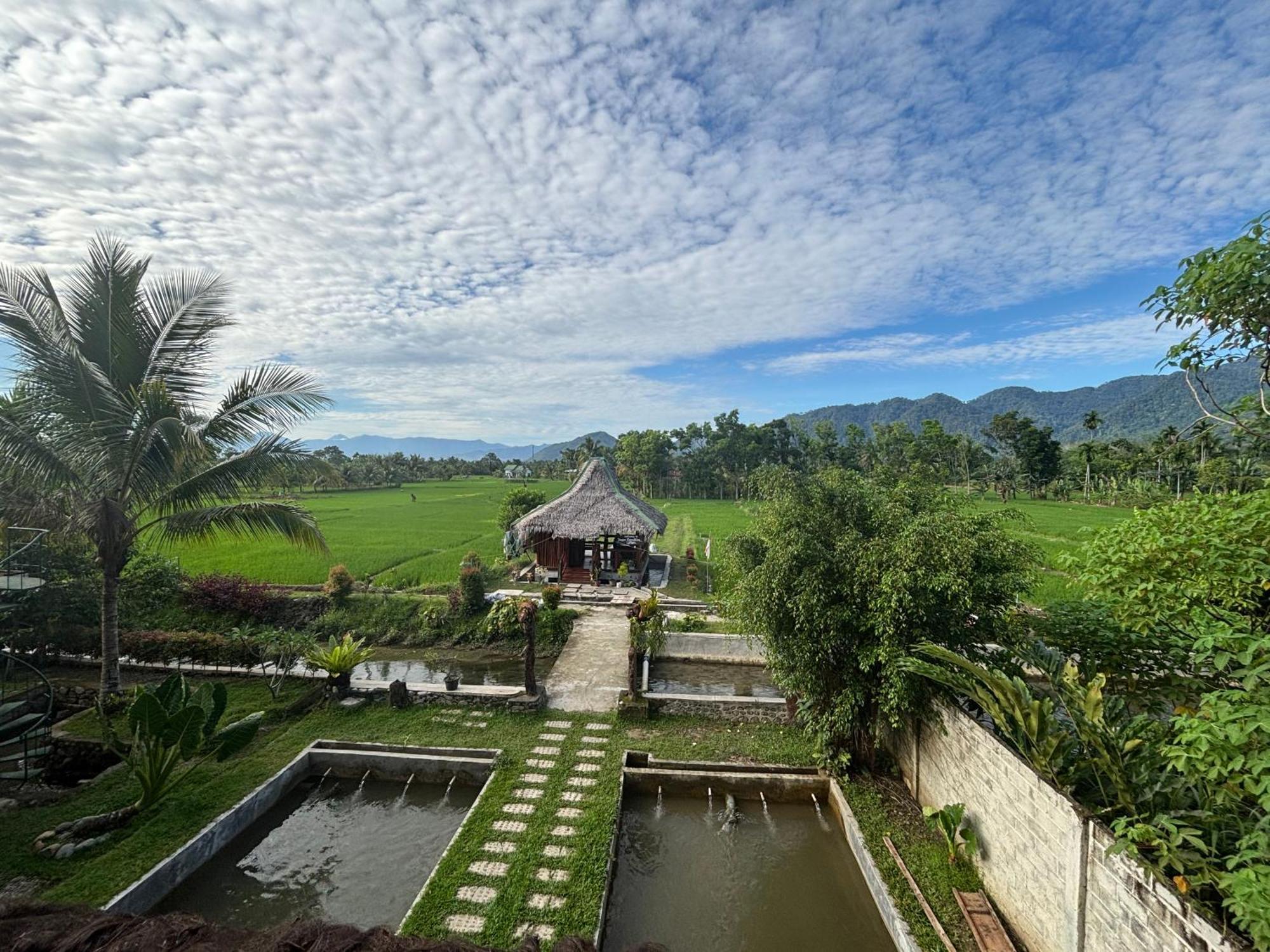 Sumatra Expedition Lodge Букіт-Лаванґ Екстер'єр фото